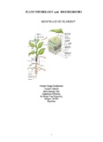 PLANT PHYSIOLOGY and BIOCHEMISTRY