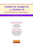 Ferrets, Rabbits, and Rodents: Clinical Medicine and Surgery, 3rd Edition  