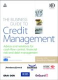 The Business Guide to Credit Management: Advice and solutions for cash-flow control, financial risk and debt management (Business Guides)
