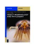 Insect Morphology and Phylogeny: A textbook for students of entomology