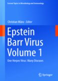 Epstein Barr Virus Volume 1: One Herpes Virus: Many Diseases