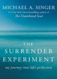 The Surrender Experiment: My Journey into Life's Perfection