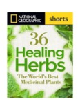 36 Healing Herbs: The World's Best Medicinal Plants