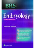 BRS Embryology