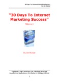 30 Days To Internet Marketing Success