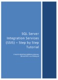 SQL Server Integration Services (SSIS) Step by Step Tutorials