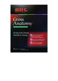 BRS Gross Anatomy
