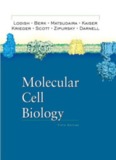 Molecular Cell Biology (Lodish 5th Ed)