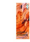 Constitutional and Administrative Law, 5th Edition (Foundation Studies in Law Series)  