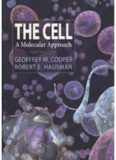 The Cell. A Molecular Approach