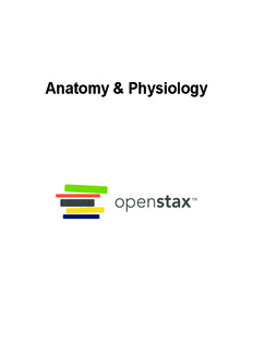 Anatomy & Physiology