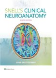 Snell’s Clinical Neuroanatomy