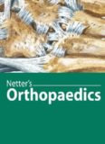 Netter's Orthopaedics (Netter Clinical Science)  