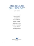 Molecular Cell Biology (Lodish, Sixth Edition)