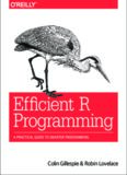 Efficient R Programming: A Practical Guide to Smarter Programming
