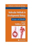 Molecular Methods in Developmental Biology Molecular Methods in Developmental Biology