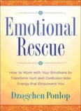 Emotional Rescue: How to Work with Your Emotions to Transform Hurt and Confusion into Energy That Empowers You
