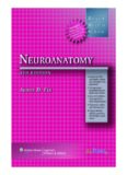 BRS Neuroanatomy