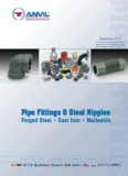 Pipe Fittings & Steel Nipples - Pipe Valve Fitting
