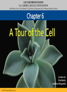 LECTURE PRESENTATIONS For CAMPBELL BIOLOGY, NINTH EDITION Lectures by Erin Barley ...
