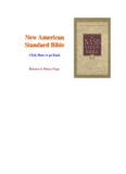 New American Standard BibleStandard Bible