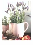 The Complete Illustrated Book of Herbs: Growing, Health and Beauty, Cooking, Crafts