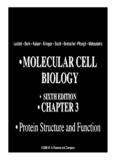 • MOLECULAR CELL BIOLOGY • MOLECULAR CELL BIOLOGY