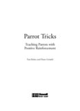 Parrot Tricks: Teaching Parrots with Positive Reinforcement