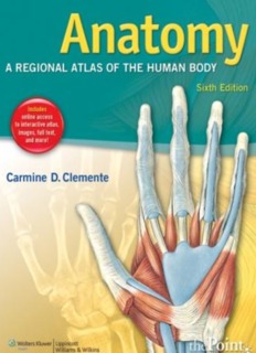 Anatomy: A Regional Atlas of the Human Body