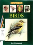 Birds. Drawing in Color
