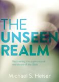 The unseen realm : recovering the supernatural worldview of the Bible