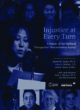 Injustice at Every Turn - National Gay and Lesbian Task Force