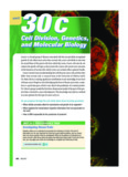 Cell Division, Genetics, and Molecular Biology Cell Division, Genetics, and Molecular Biology
