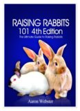 Raising Rabbits 101