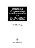Programming for Dummies programming-for-dummies