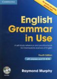 English Grammar in Use: A Self-Study Reference and Practice Book for Intermediate Learners