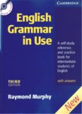 English Grammar In Use with Answers: A Self-study Reference and Practice Book for Intermediate