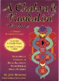 A Chakra & Kundalini Workbook: Psycho-Spiritual Techniques for Health, Rejuvenation, Psychic Powers & Spiritual Realization  