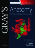 Gray's Anatomy: The Anatomical Basis of Clinical Practice