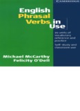 English Phrasal Verbs in Use