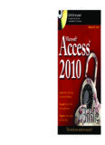 Microsoft Access 2010 Bible